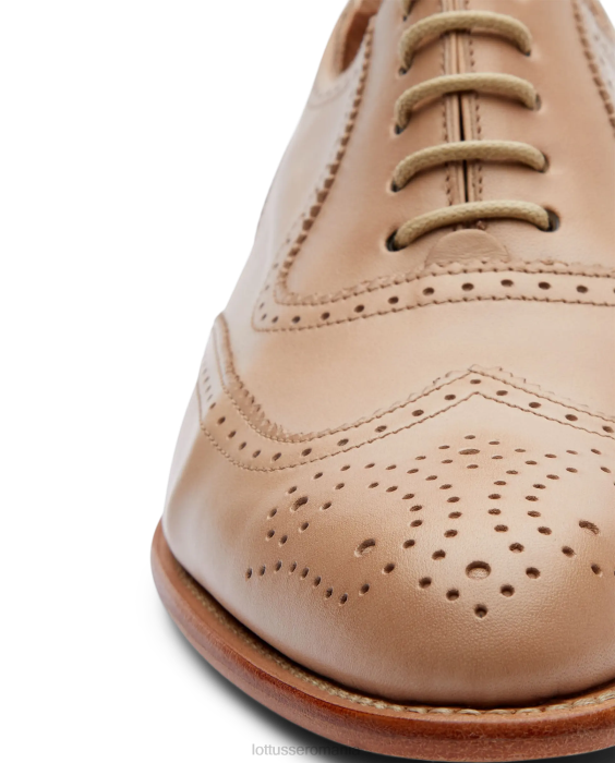 Lottusse femei cambridge crust anilin calf oxford TJT6212 încălţăminte maro